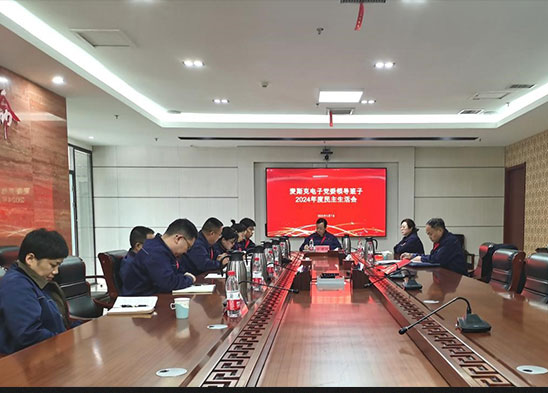 半導體材料板塊召開黨委領導班子2024年度民主生活會